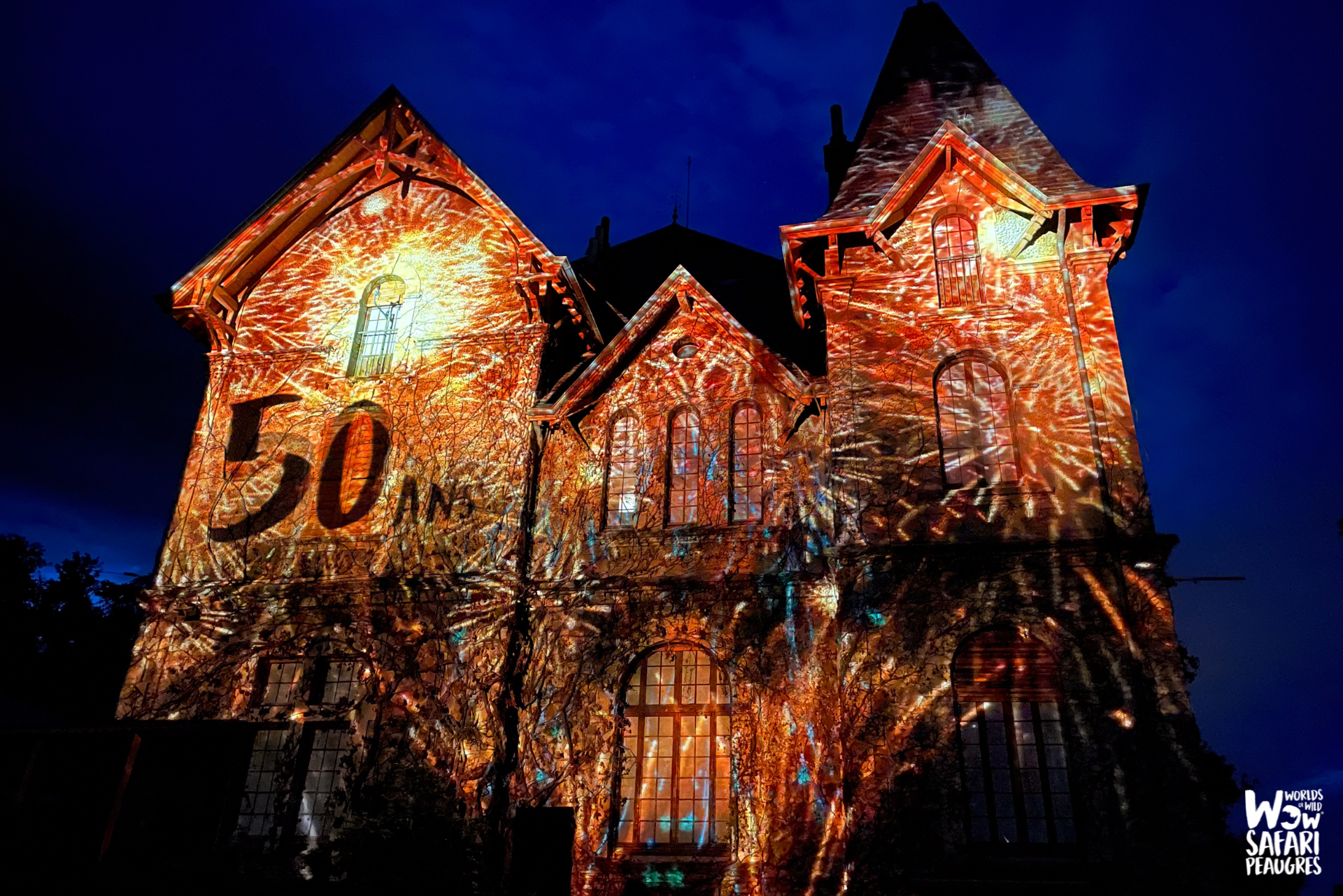 Arbre de Noël et Festival des Lumières Sauvages