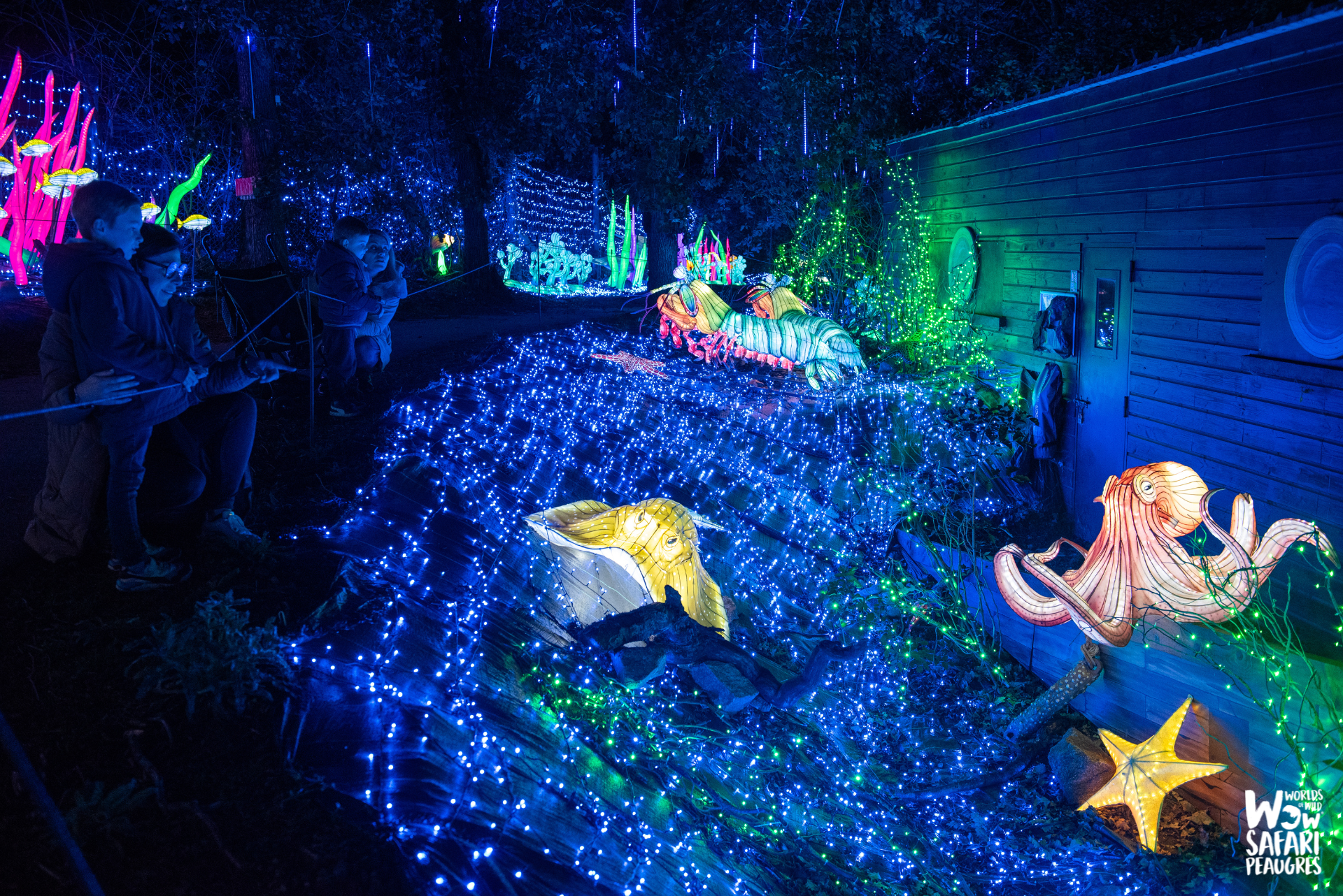 Festival des Lumières Sauvages