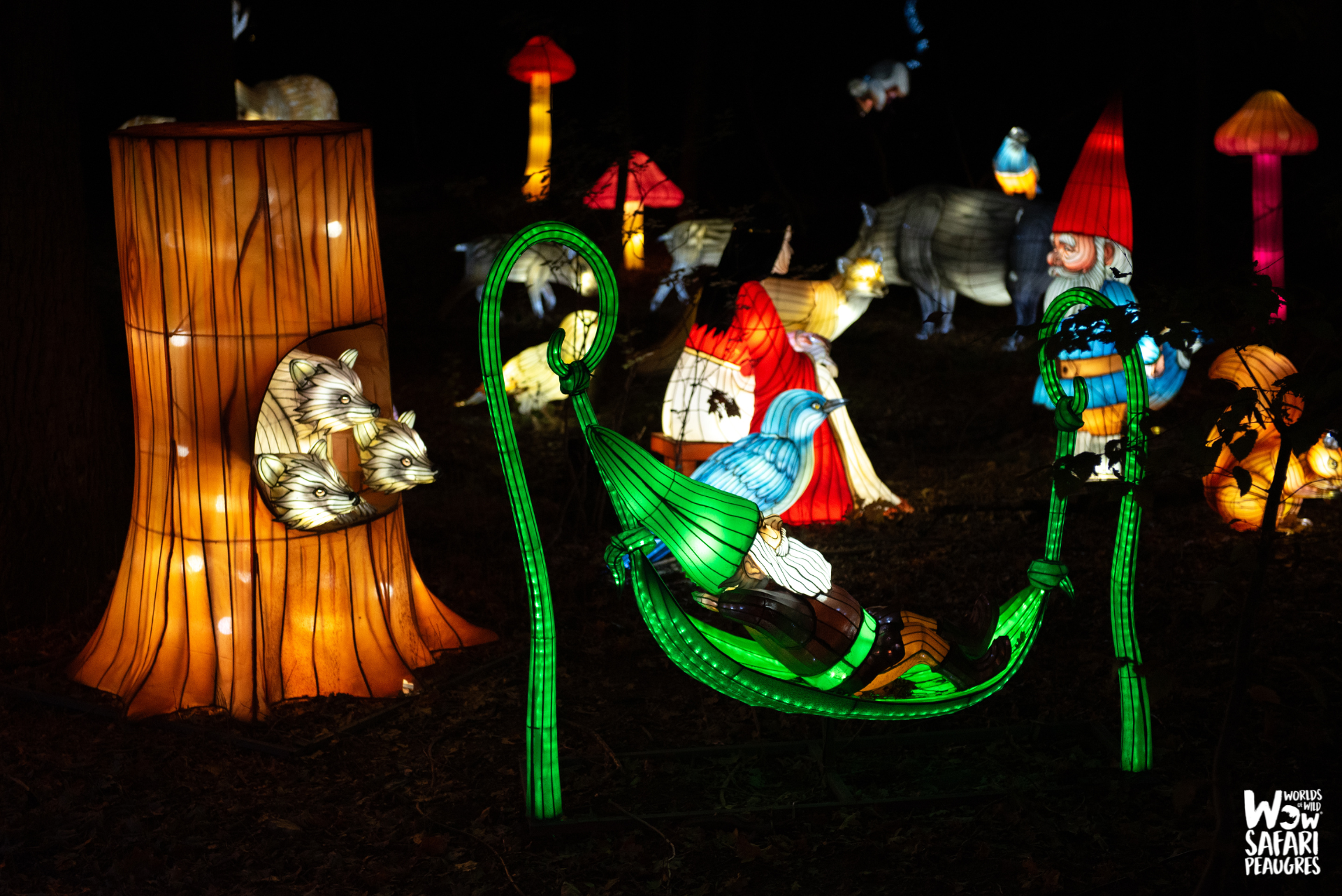 Festival des Lumières Sauvages