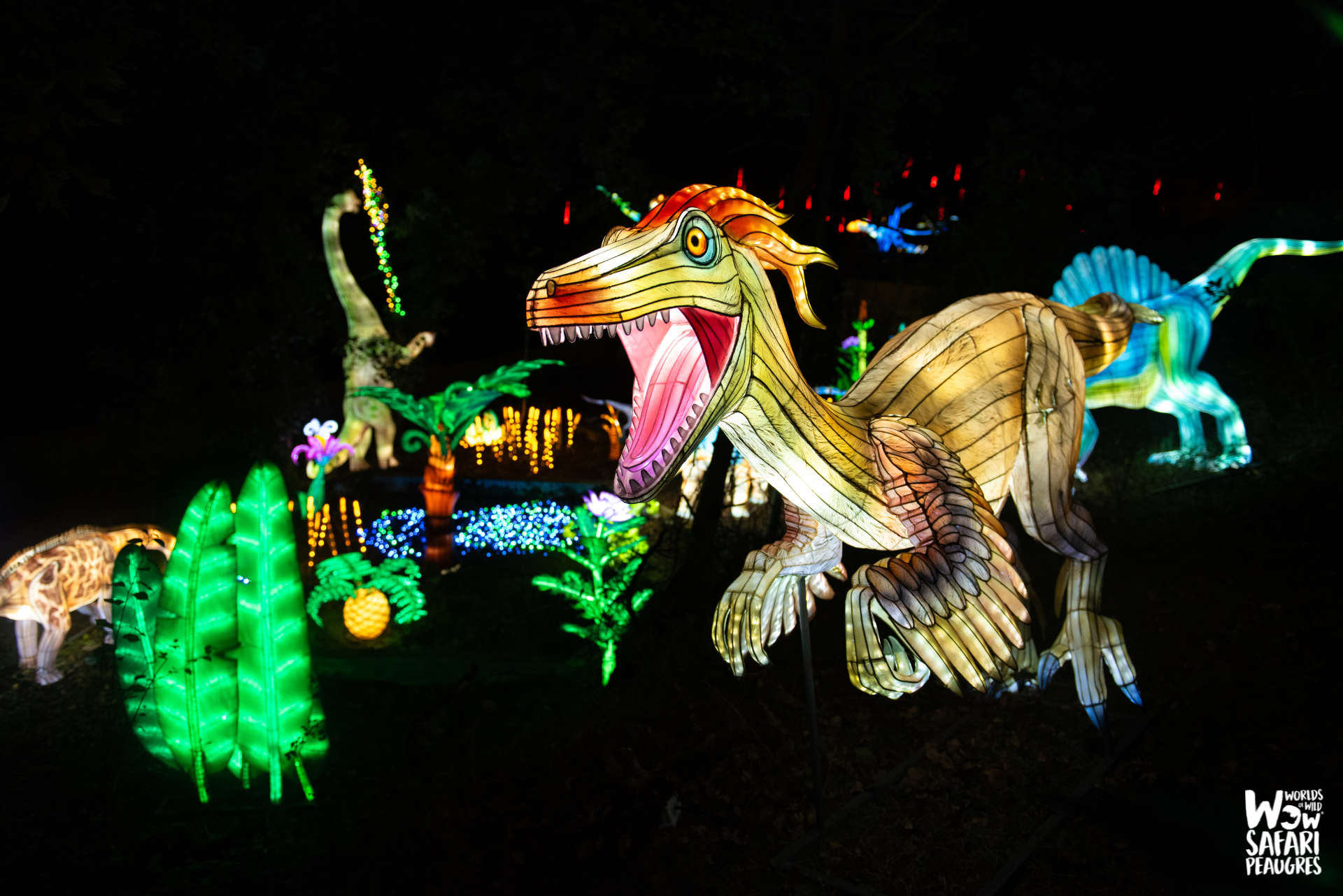 Festival des Lumières Sauvages