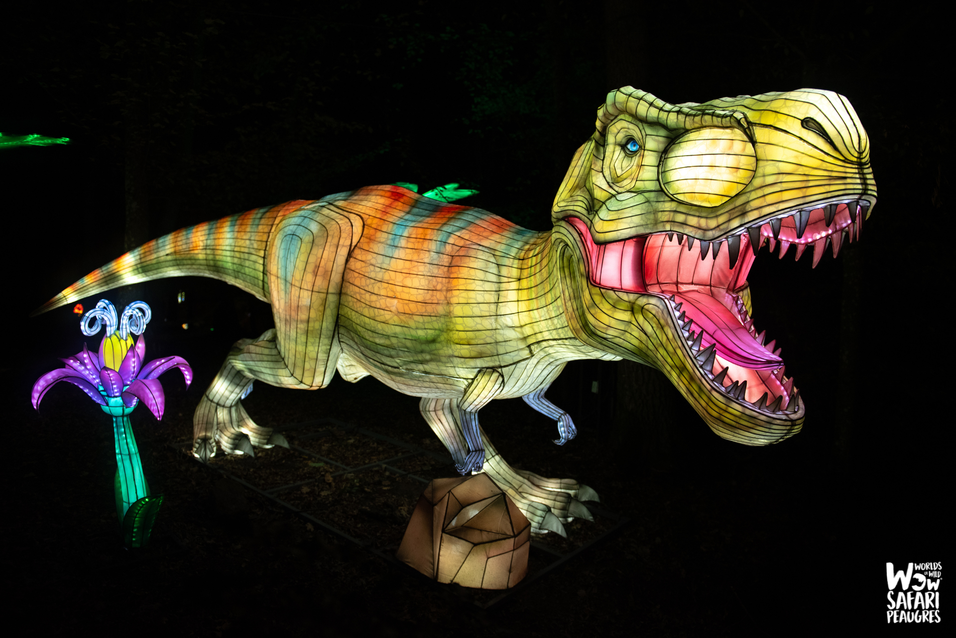 Festival des Lumières Sauvages