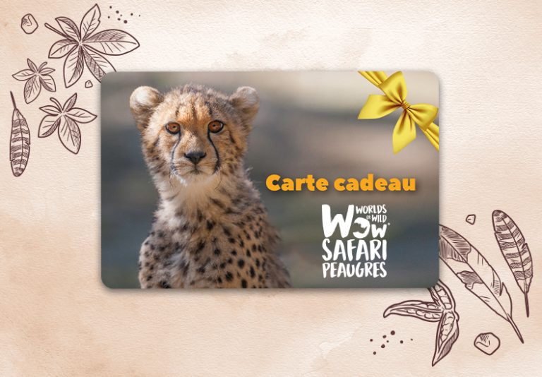 Carte cadeau Wow Safari de Peaugres à partir de 50€