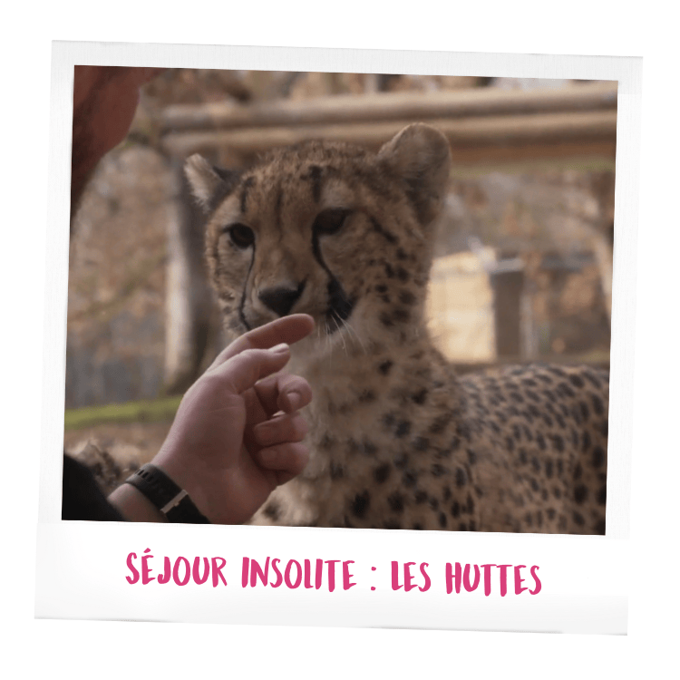 Fête des mères au Safari Peaugres