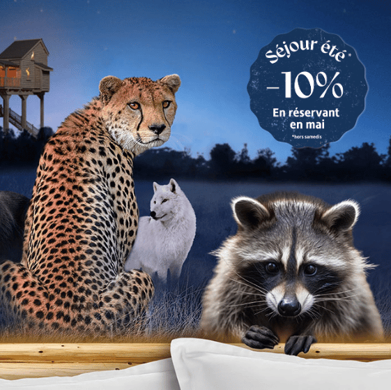Offre été nuit Safari Peaugres