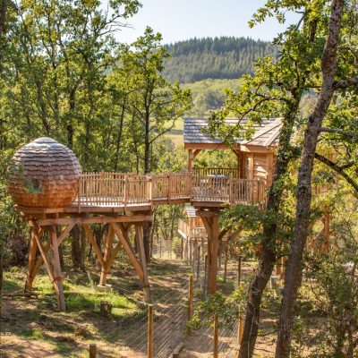 Les Nuits Safari Peaugres : séjour insolite en cabane perchée tout confort au dessus des ours noirs et loups arctiques