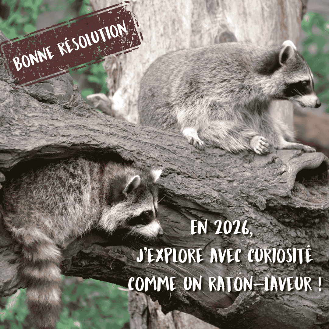 Les bonnes résolutions 2026 - exploration
