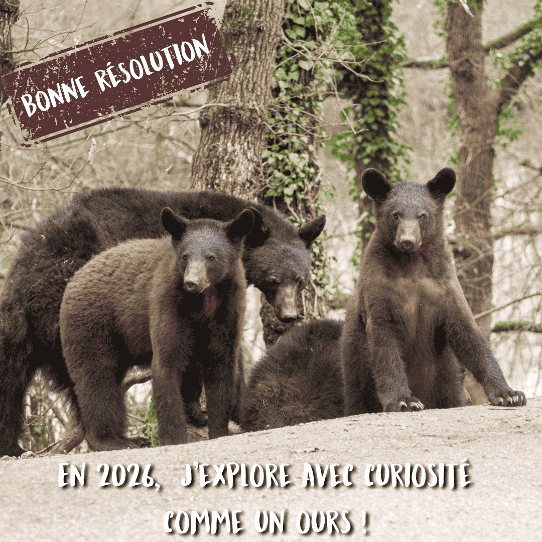 Les bonnes résolutions 2026 - exploration
