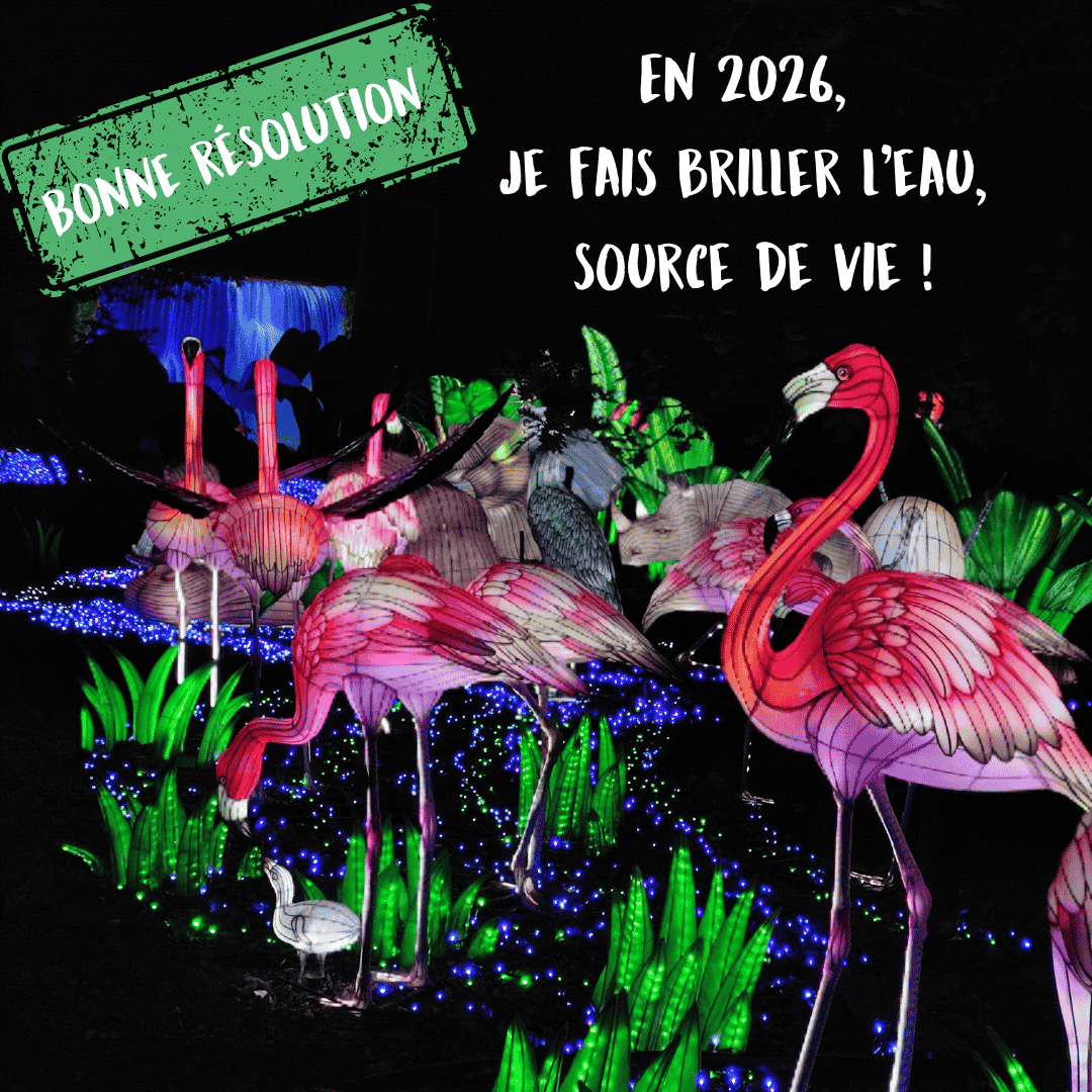 Les bonnes résolutions 2026 -  Festival des Lumières Sauvages