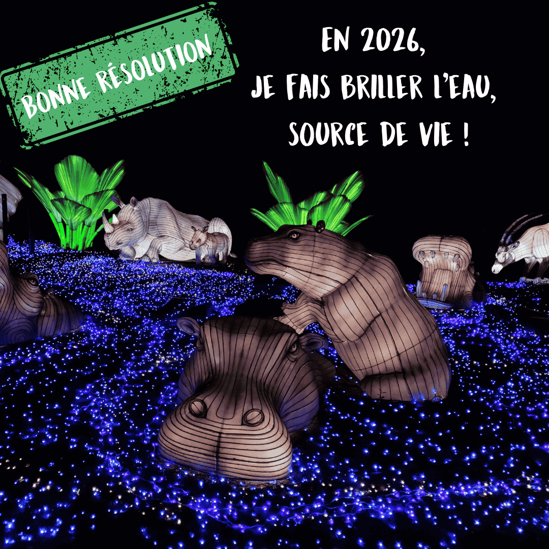 Les bonnes résolutions 2026 -  Festival des Lumières Sauvages