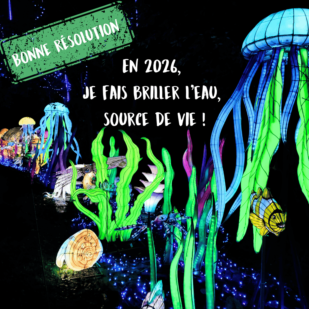 Les bonnes résolutions 2026 -  Festival des Lumières Sauvages
