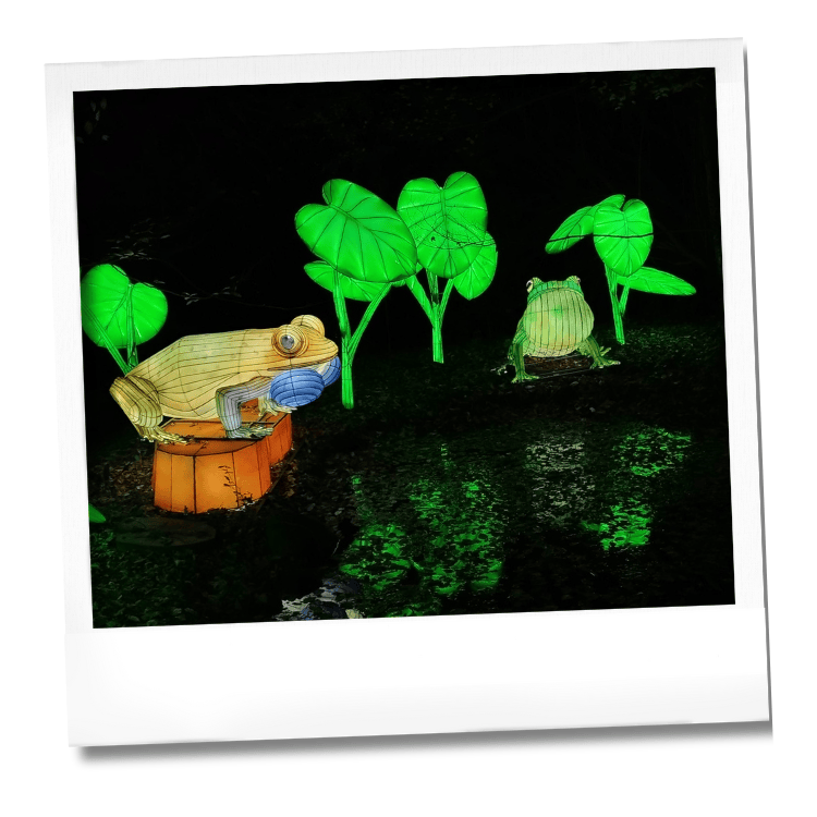 Week-end des Amphibiens