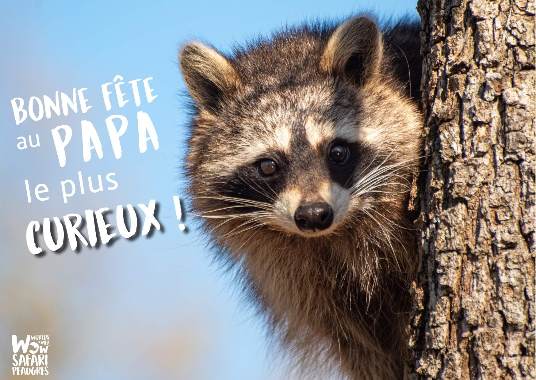Offre séjour fête des pères