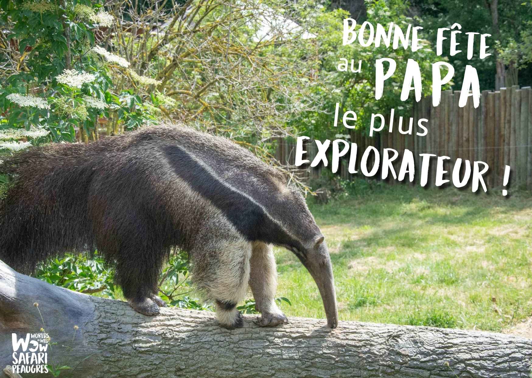 Offre séjour fête des pères