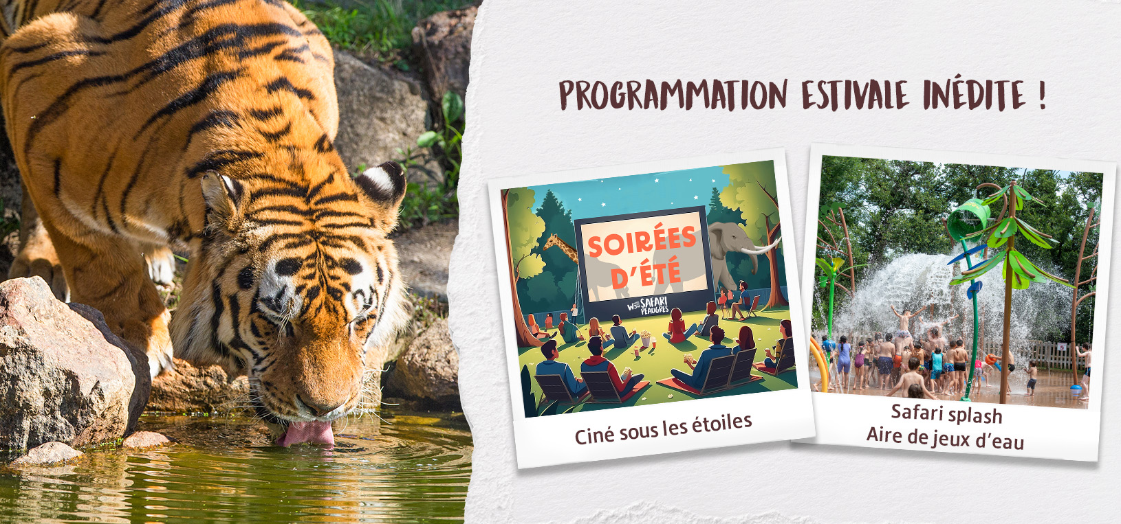 Programmation estivale inédite au Wow Safari Peaugres, plus grand parc animalier d'Auvergne Rhône-Alpes. Fermetures tardives, aire de jeux d'eau, cinés sous les étoiles, visites guidées nocturnes,...