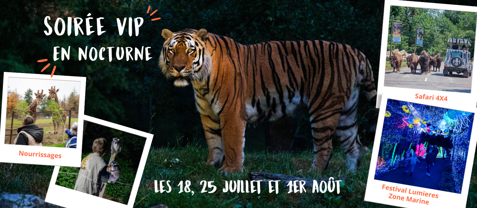 Soirée VIP Nocturne