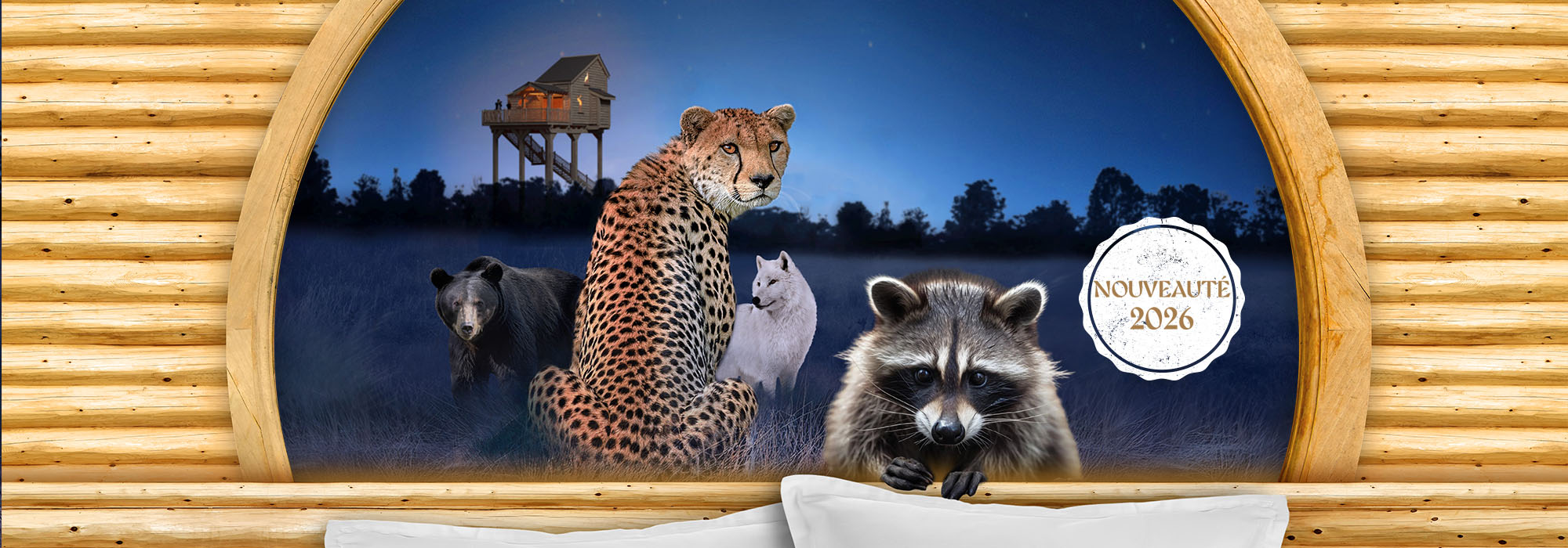 Les Nuits de Peaugres : séjour insolite au Safari de Peaugres, dormir en cabane perchée au dessus des ours noirs et loups arctiques ou en hutte face à face avec les guépards. Nouveauté 2026 : lodges immersives dans la vie des ratons laveurs.