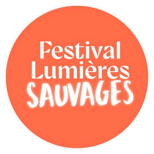 Festival Lumières pendant vacances de Toussaint