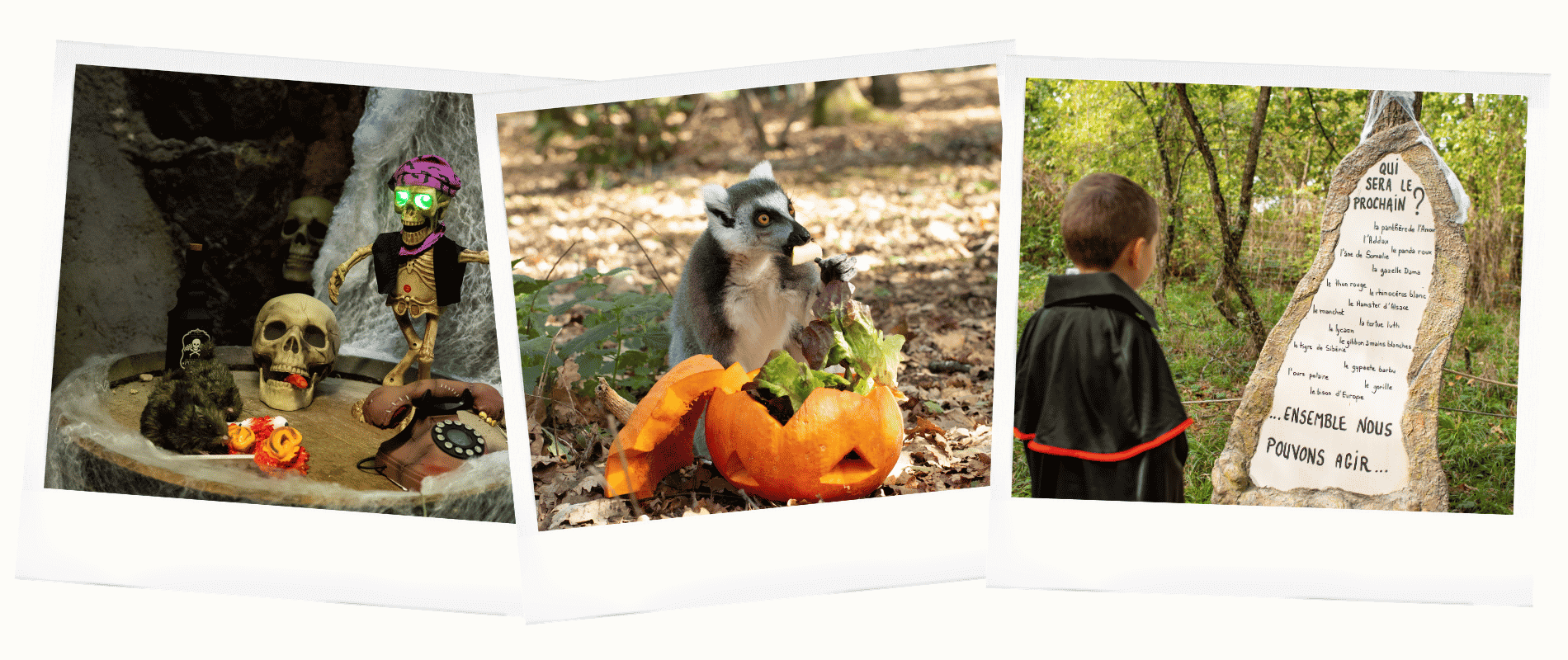 Halloween Peaugres Animation Halloween parc animalier