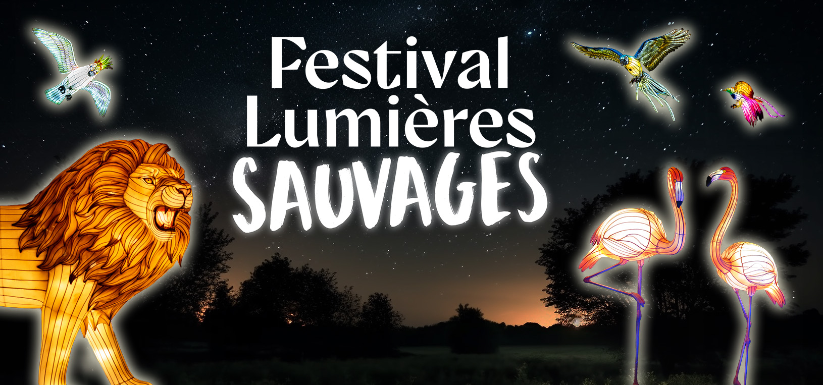 Festival Lumières Sauvages : nouvelle édition inédite. Les allées du Wow Safari Peaugres illuminées dès la tombée de la nuit par des milliers de lanternes lumineuses. Tous les jours d'ouverture du parc jusqu'au 29 mars 2026.