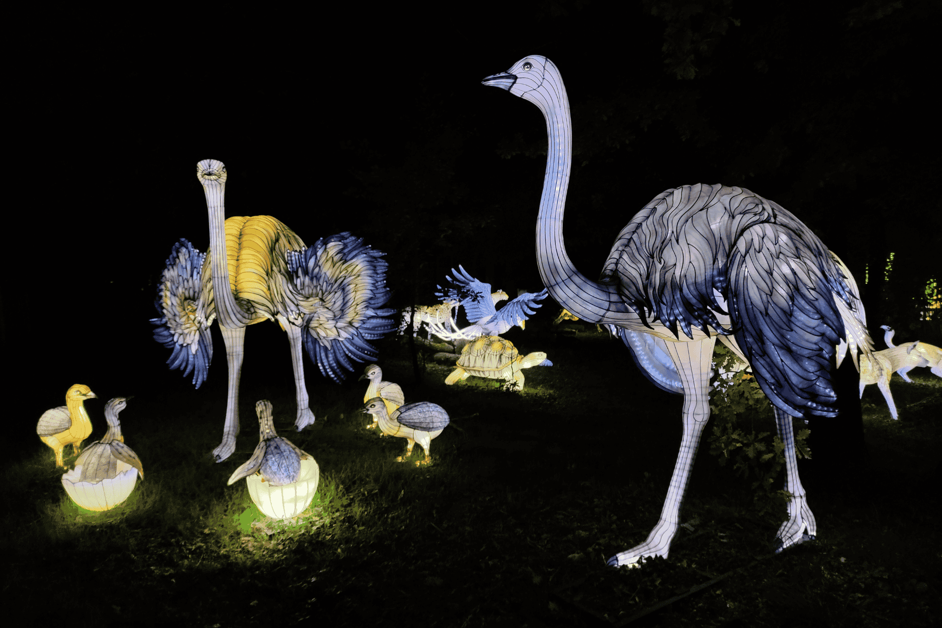 sculptures lumineuses