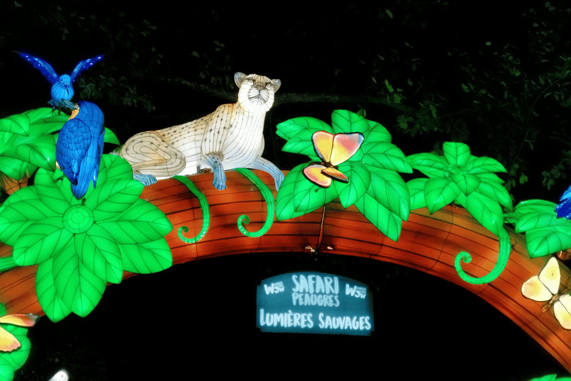 Entrée festival lumières