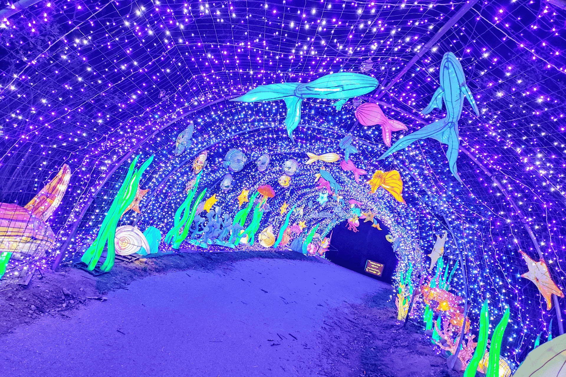 Sortie en hiver près de Lyon