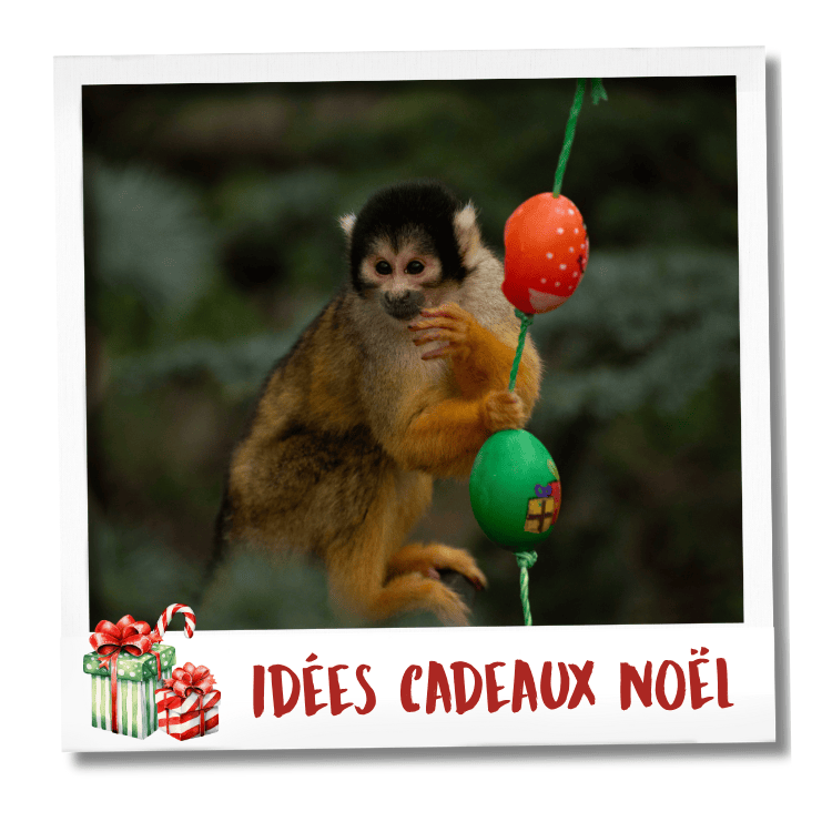 idée cadeau noël