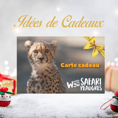 Carte cadeau