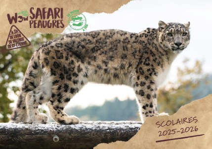 Brochure scolaires Wow Safari Peaugres