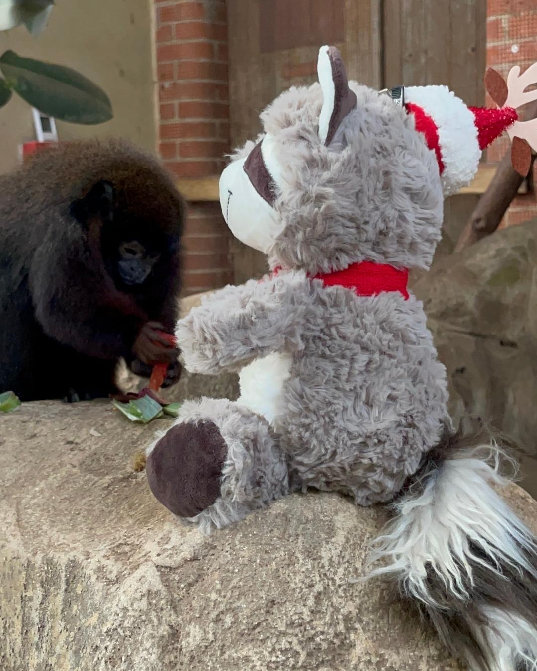 titi roux lutin farceur