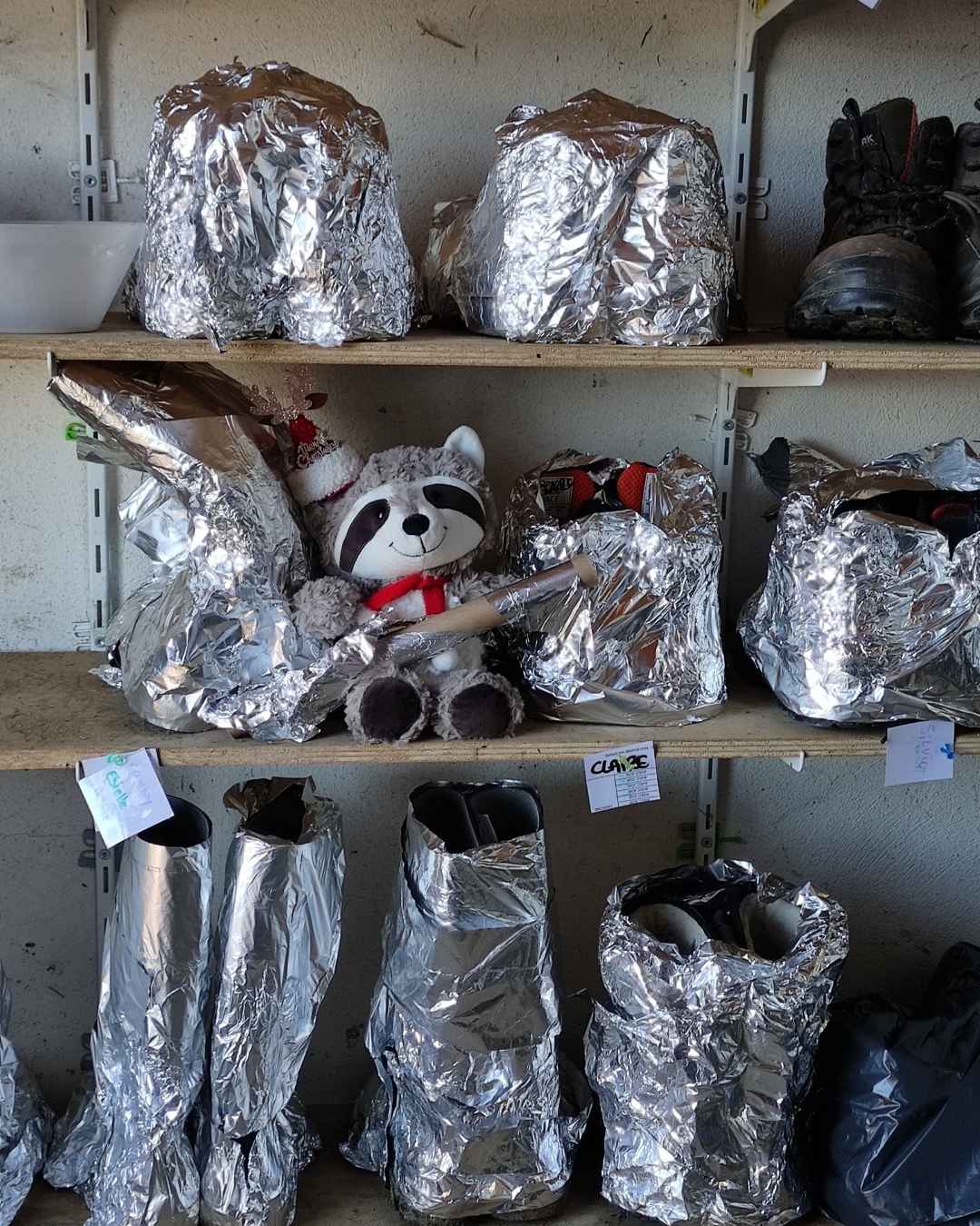 lutin farceur soigneur