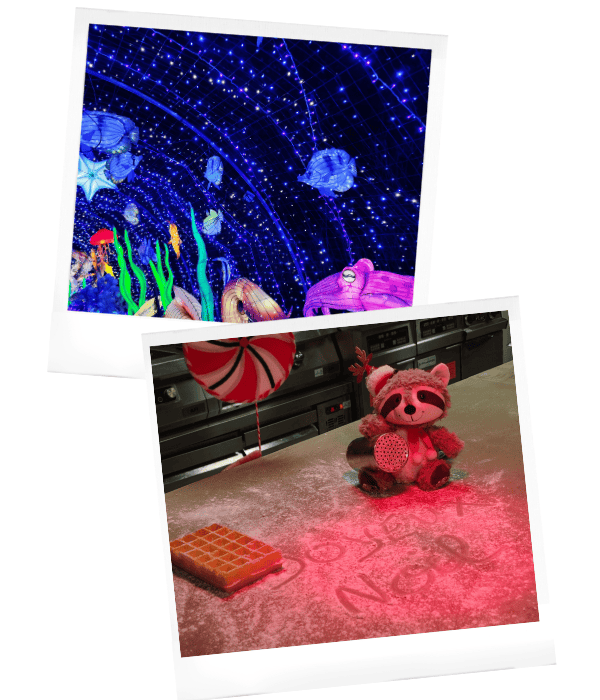 ratonlaveur Peaugres