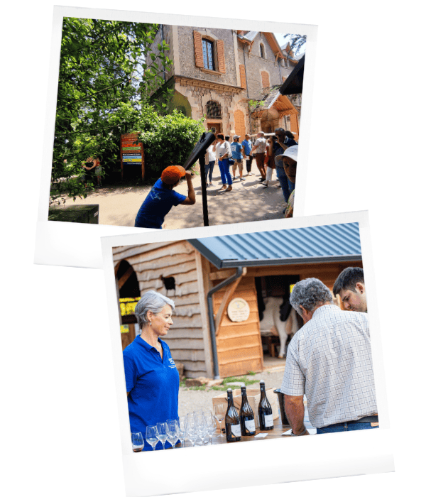 jumelle-vendredis-wine