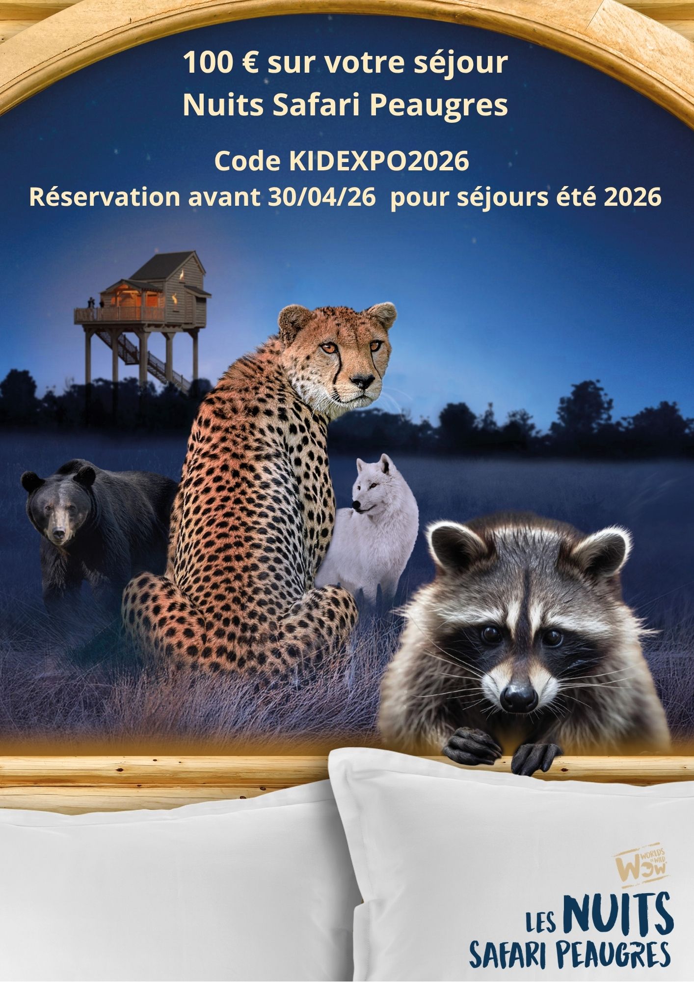offre Kid Expo