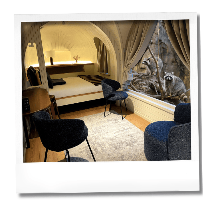 Dormir avec les ratons laveurs