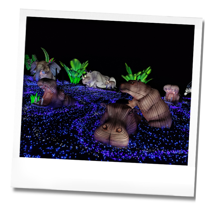 Festival Lumières Peaugres