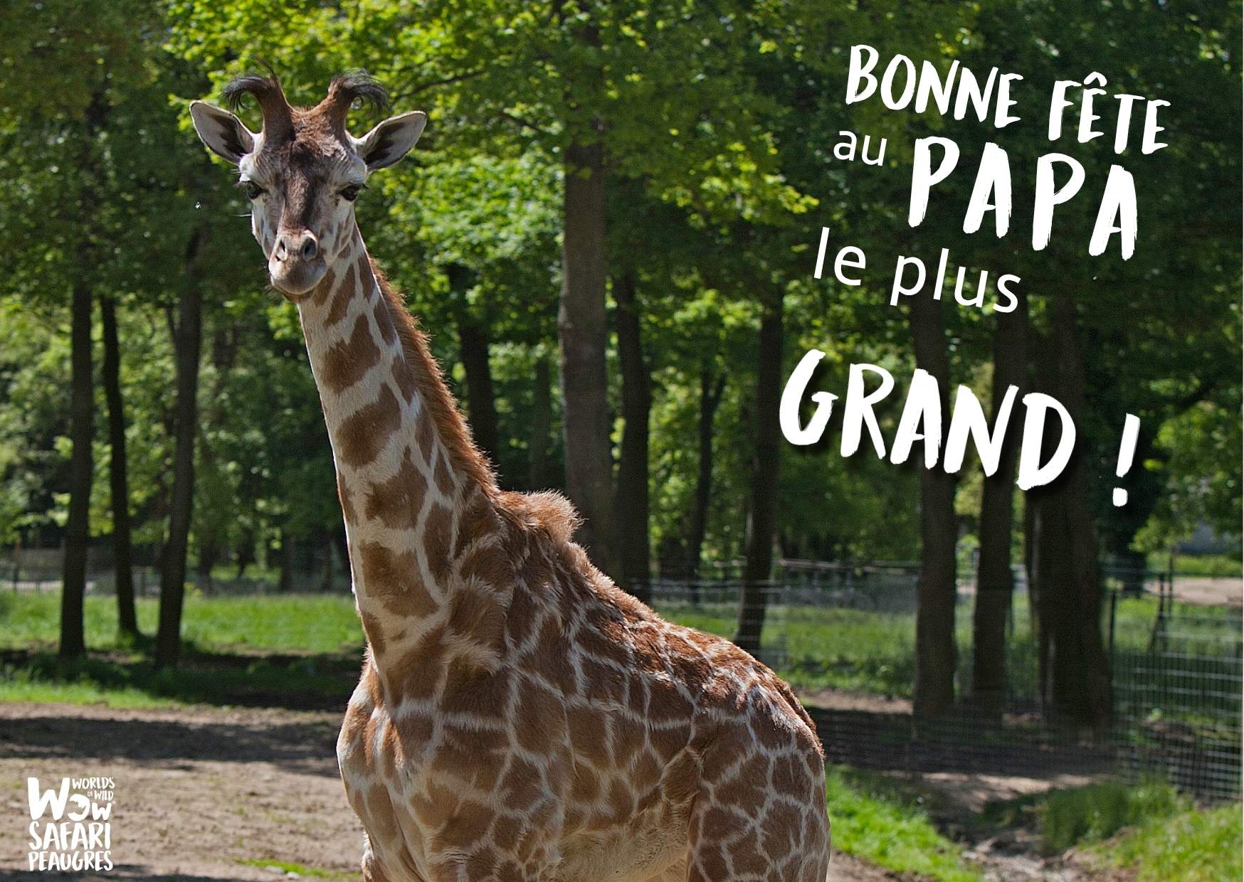 Offre séjour fête des pères