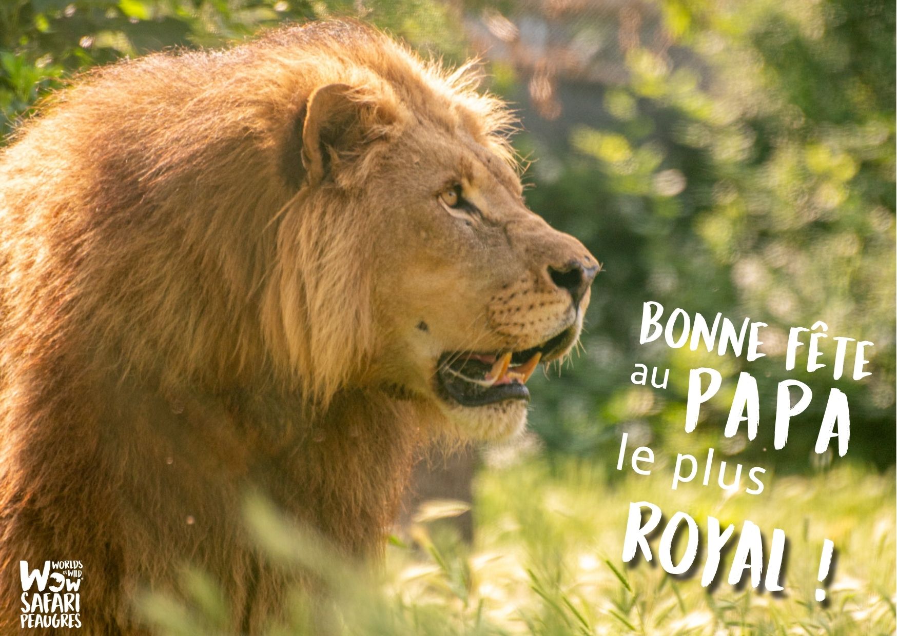 Offre séjour fête des pères