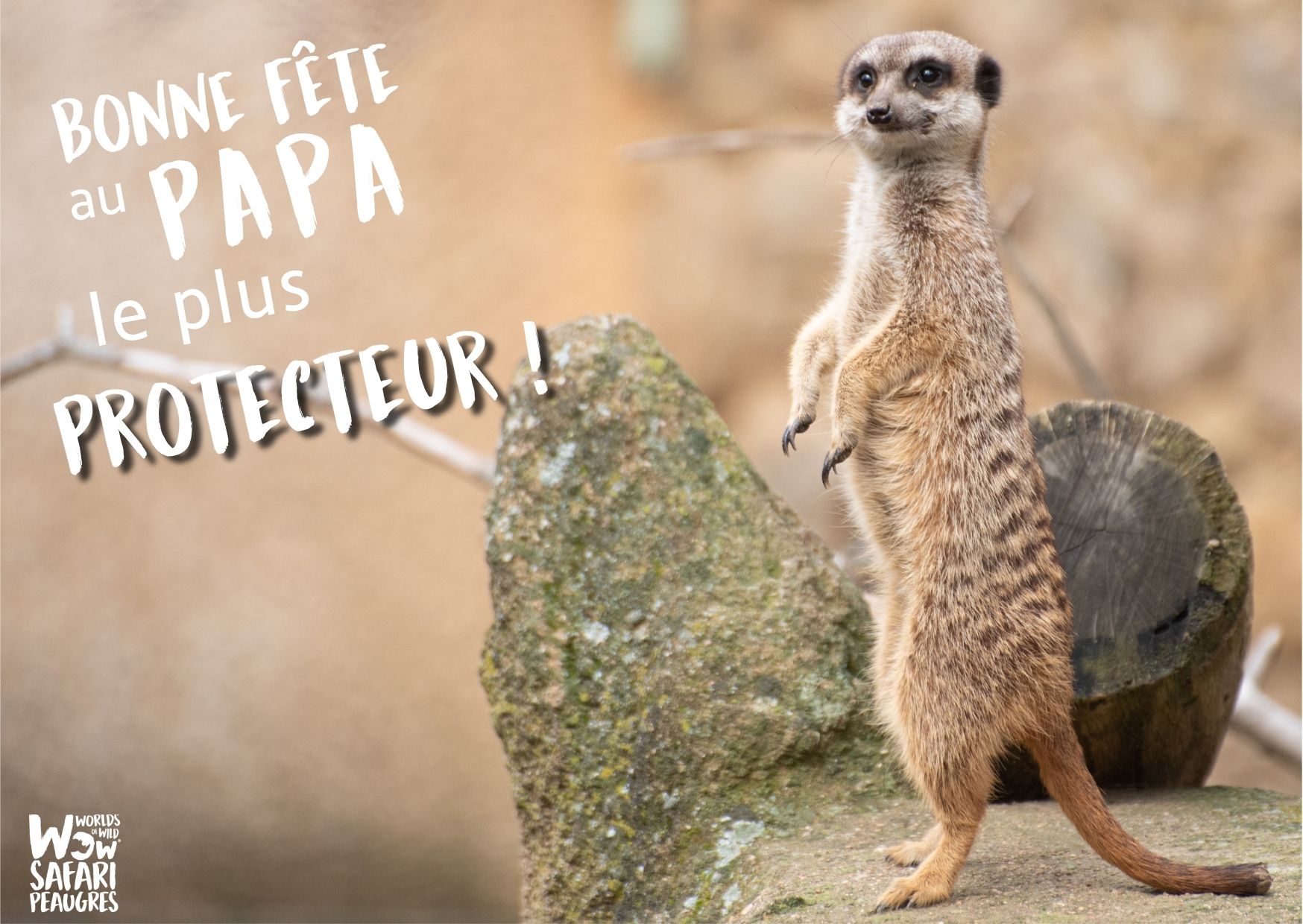 Offre séjour fête des pères