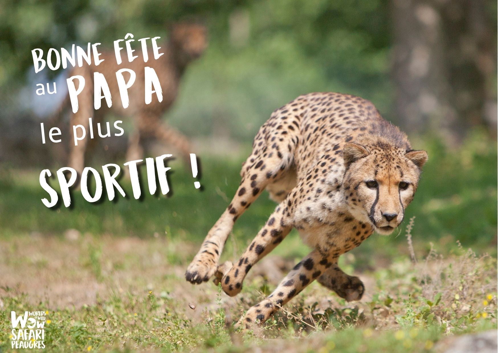 Offre séjour fête des pères
