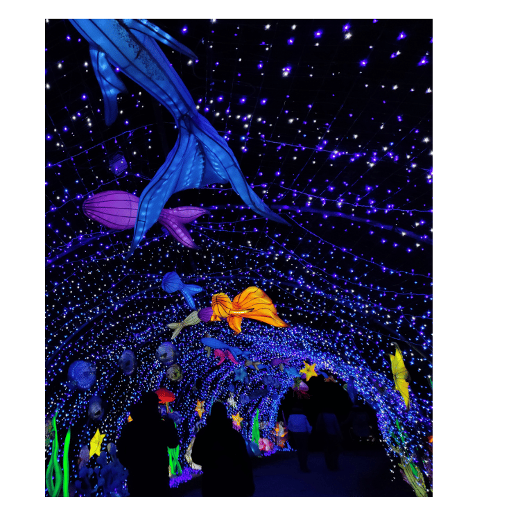  Festival Lumières Sauvages Wow Safari Peaugres