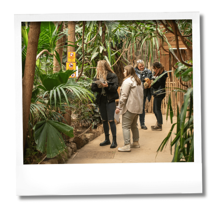 Team building Séminaire Wow Safari Peaugres