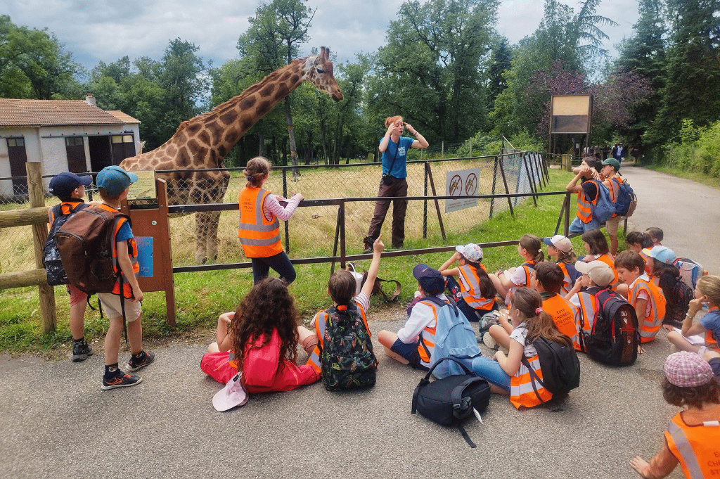 Sortie scolaire 