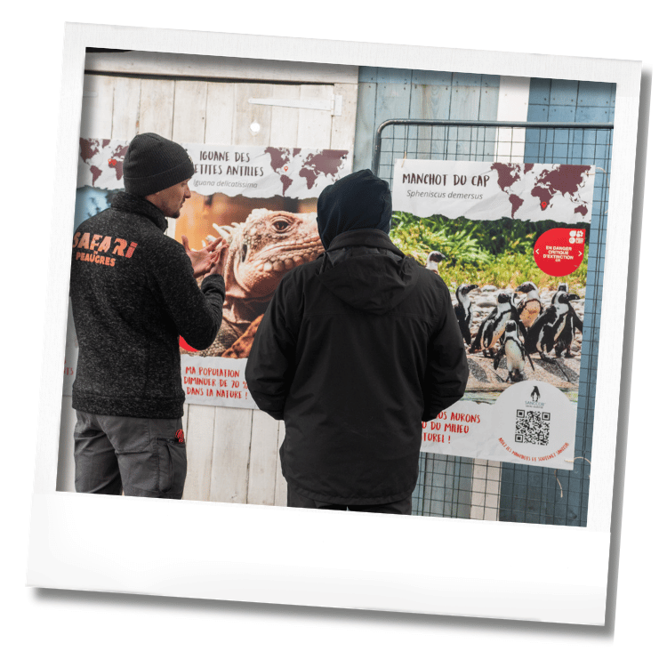 Week-end conservation