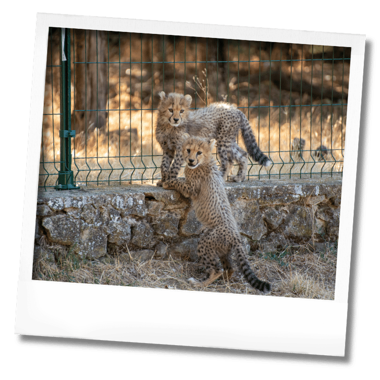 Week-end conservation