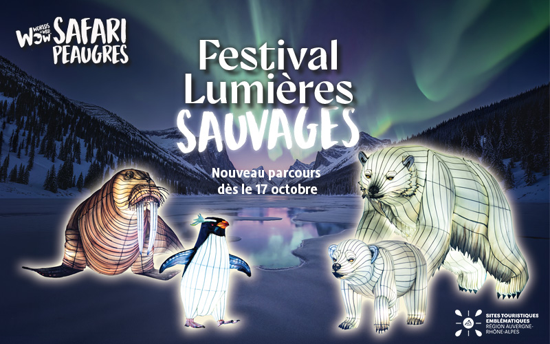 Festival Lumières 2026/2027